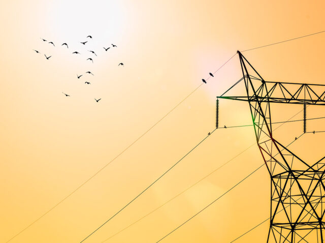 Práca v letných dňoch - bozp-skolenia.sk