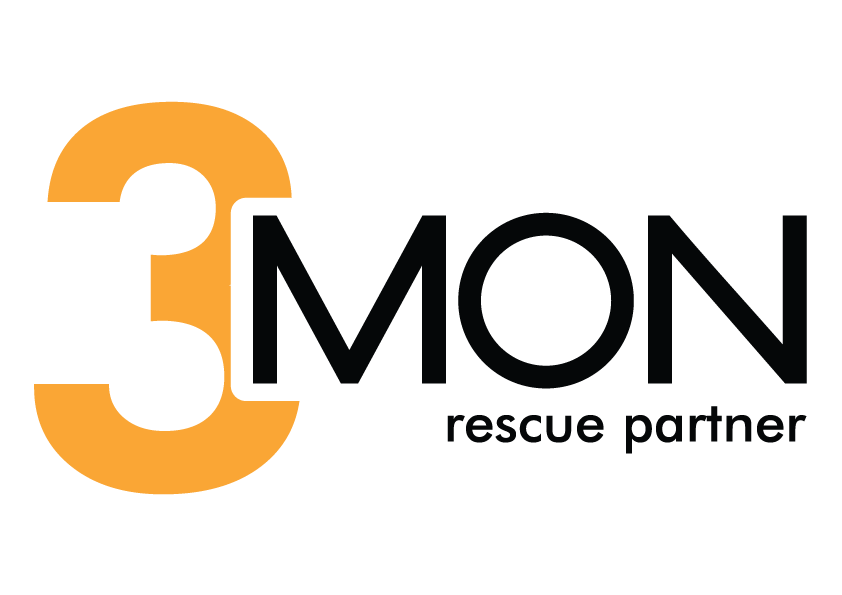 3MON logo
