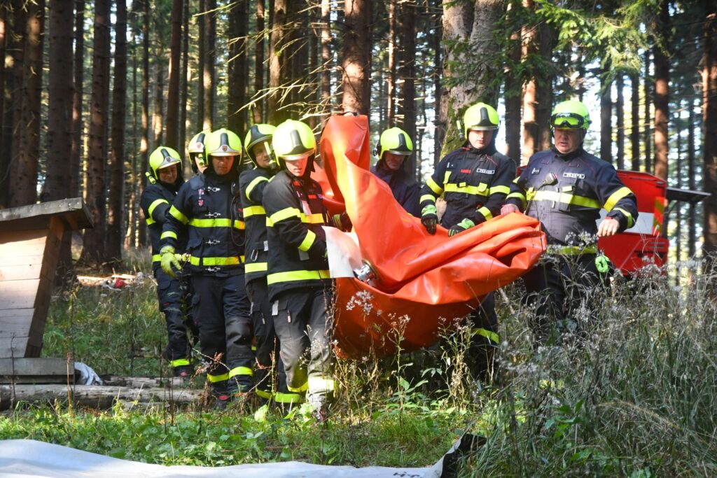 lesné požiare - forest fires